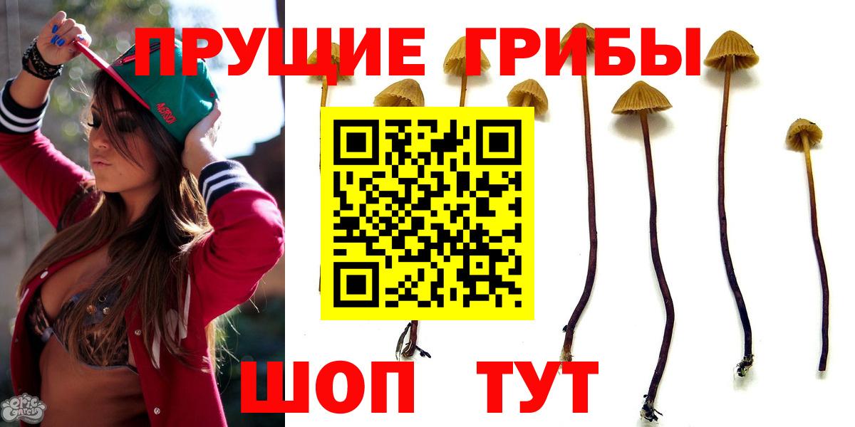Псилоцибиновые грибы Magic Shrooms Майкоп